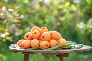 Fresh Panzhihua Loquat Fruits from Sichuan Province on Wooden Table with Natural Garden Background