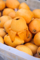 Fresh Ripe Loquat Fruits at Peak Season - Golden Orange Organic Produce Ready for Harvest