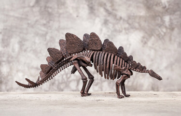 Fossil skeleton of Dinosaur Stegosaurus on loft background retro vintage style.