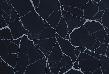 Deep black marble background with subtle gray veining, luxurious texture,  art,  glossy