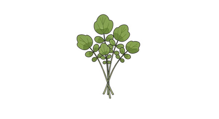 Green Herb Plant with Rounded Leaves on Transparent Background for Culinary or Gardening Use