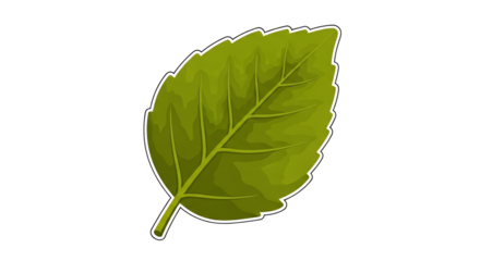 Green Leaf Illustration with Detailed Veins on Transparent Background