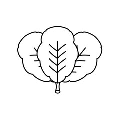 spinach vector logo vector flat black linear illustration for web and app..eps