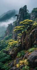 Misty mountain peaks, lush greenery, and dramatic rock formations