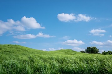 Landscape with green field and blue sky