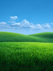 Fototapeta premium Landscape with green field and blue sky