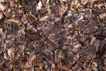Detailed view of brown bark mulch, offering a textured, natural background.
