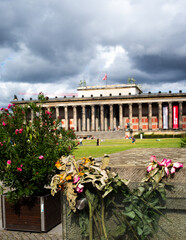 Dry rose at monument memorize who fallen during demonstration