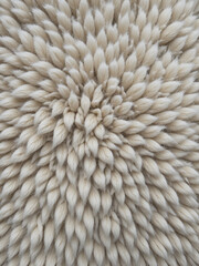 Wool plush fleece fur fabric texture background