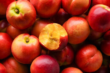 Fresh Nectarines with Yellow Flesh from Shanxi China Orchard Harvest