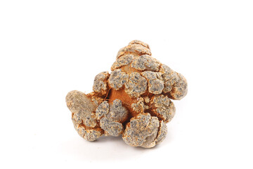 Wenshan Panax Pseudoginseng Root Heads - Chinese Medicinal Herb Closeup