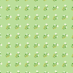 White daisies and yellow buttercups on a soft green background Cute small floral pattern Background with small wild flowers Rustic style Fabric printing Gift wrapping Greeting card design
