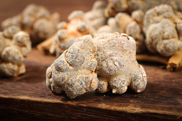 Panax Ginseng Roots from Wenshan Yunnan China Traditional Chinese Medicine Herb on Wood