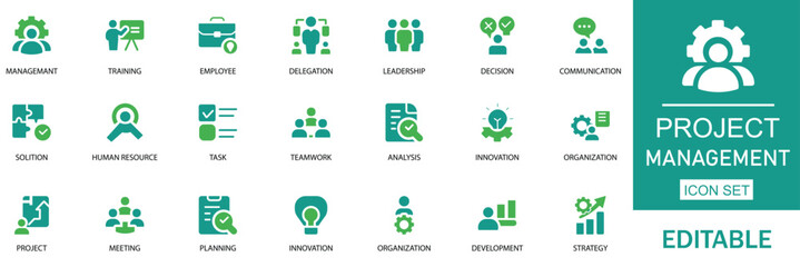 Project Management Icon Set. Features icons of decision, leadership, goal, manage and strategy. Perfect for corporate apps and HR solutions.