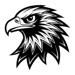 Fototapeta premium eagle head vector