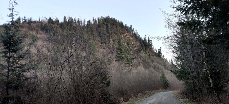 A forest road passing by a rocky mountain peak with pine trees in Washington at dusk.