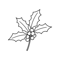 Hand drawn christmas holly branch with berries festive winter season botanical art vector