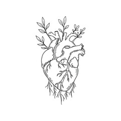 Anatomical heart with growing plants and roots illustration symbolizing health growth life and nature vector