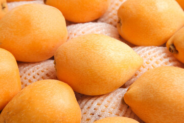 Fresh Sichuan Loquat Fruits on White Protective Packaging Background