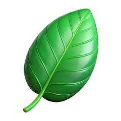 Close up of a single vibrant green leaf with detailed veins and a smooth texture