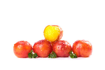 Fresh Red and Yellow Plums with Water Drops - Crisp March Fruit from Guangdong