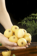 Fresh White Jade Loquats from Suzhou China Held in Hands - Freshly Picked Yellow Fruit
