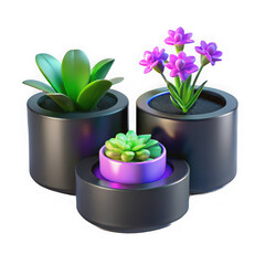 Three potted plants including succulents and a flowering plant in dark contemporary planters