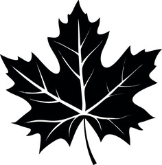 Black maple leaf silhouette icon isolated on a white background. A simple flat vector illustration for graphic design