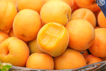Fresh Ripe Apricots in Basket from Shandong China - Organic Stone Fruit Harvest