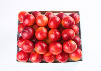 Fresh Red Plums in Box on White Background - Organic Stone Fruit Collection