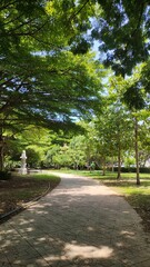 path in the park with big trees