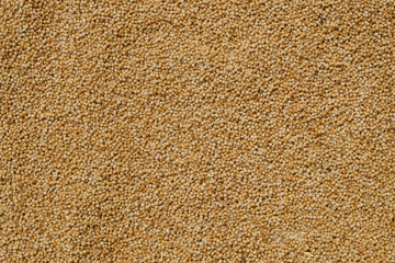 Background pattern and texture of dried coriander in brown color. Copy space for text. For graphic design, 3D rendering and banner background