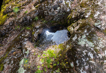 the river and the surrounding area with woodlands and clearings with paths