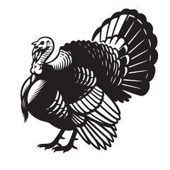 Stylized Black and White Turkey Illustration
