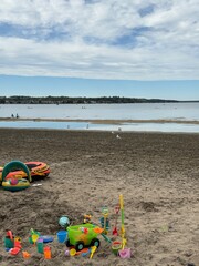 A view of the lake where people are swimming, sailing in clear water, playing ball and running on the beach, seeing boats, birds, gulls and brown sand creating footprints