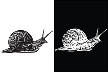Monochrome Snail Illustration with Black and White Contrast Design © Zulfa