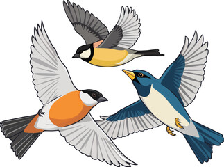 Obraz premium Set of three beautifully illustrated songbirds flying together. A colorful flat vector design collection featuring common wild birds for nature-themed projects