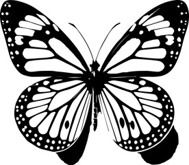 Detailed monochrome butterfly with intricate wing patterns and distinct markings displayed prominently here