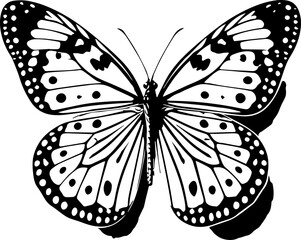 Detailed monochrome butterfly illustration with intricate wing patterns and symmetrical design elements