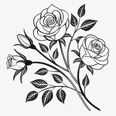 Elegant rose bouquet line drawing illustration
