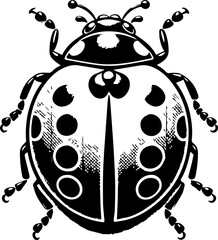 Detailed black and white illustration of a ladybug with spots and visible antennae design element
