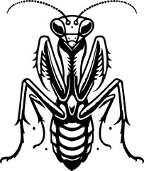 Detailed black and white illustration of a praying mantis with intricate line work and bold design elements