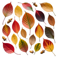 Obraz premium Closeup of a modern microscope used in scientific research isolated on transparent background