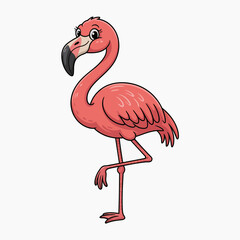 flamingo vector illustration