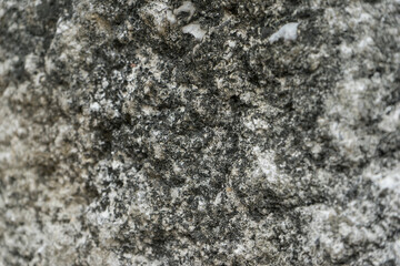 Gray concrete wall, rough surface