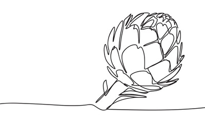Artichoke Line Drawing