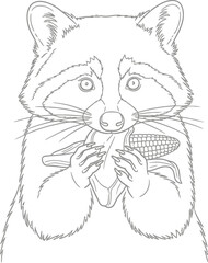 Fototapeta premium Line drawing of a raccoon holding and eating an ear of corn
