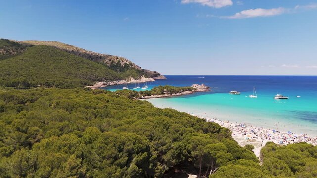 Aerial Drone Shot Approaching Cala Agulla Beach From Forest, Mallorca, Spain On A Bright Sunny Day.