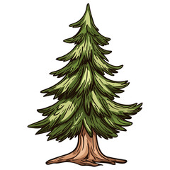 Obraz premium christmas tree, decoration, no decoration, christmas, festival, vector, transparent background, pine, xmas, branch, forest, celebration, nature, winter, isolated