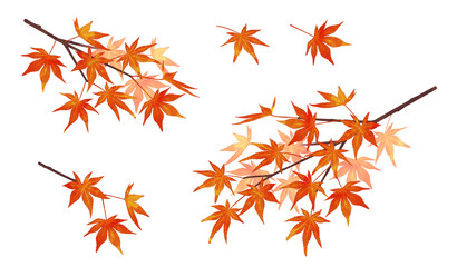 紅葉の枝　水彩風　濃淡あり